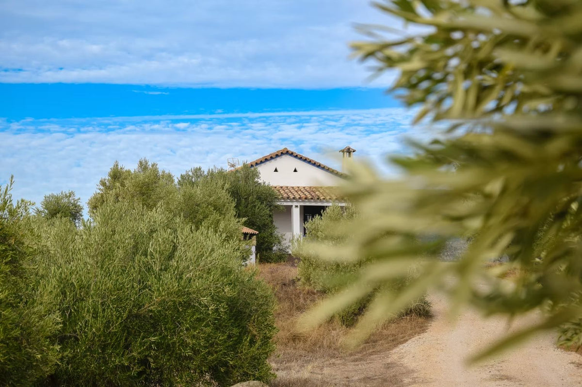 Finca Loma Verde, en la Sierra de Grazalema