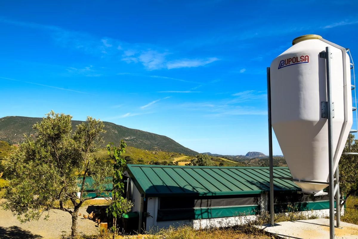 Finca Loma Verde, en la Sierra de Grazalema