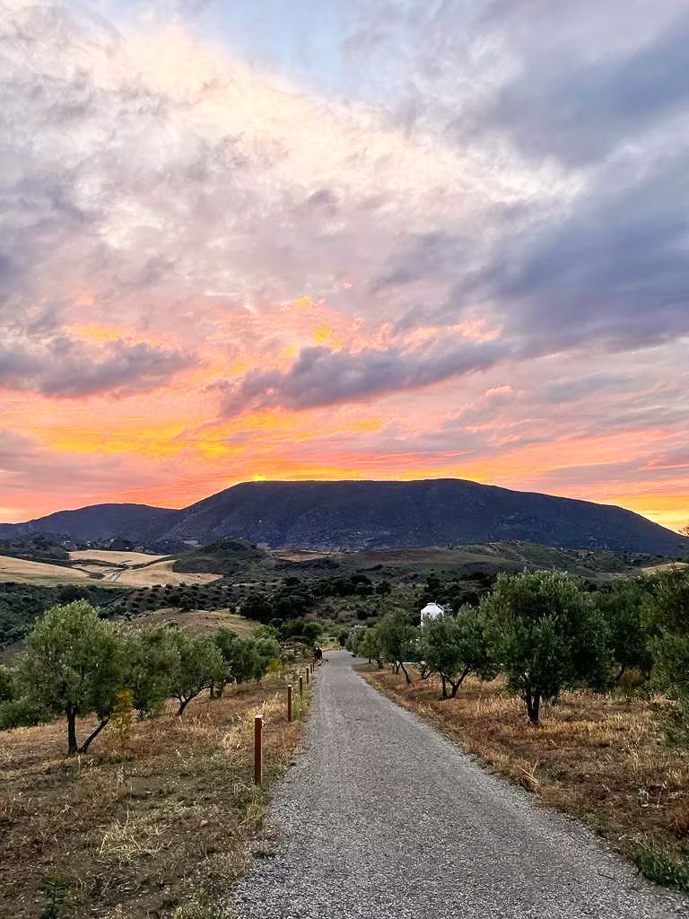 Finca Loma Verde, en la Sierra de Grazalema