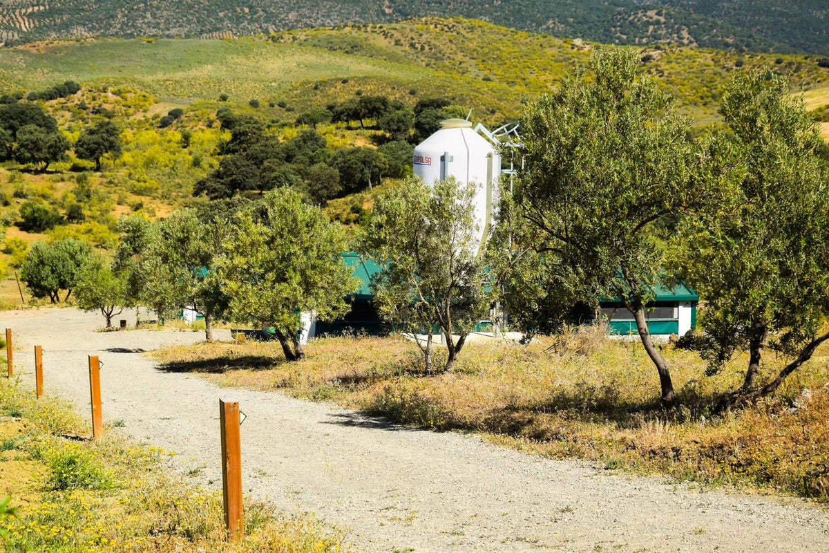 Finca Loma Verde, en la Sierra de Grazalema