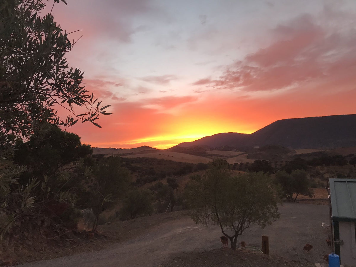 Finca Loma Verde, en la Sierra de Grazalema