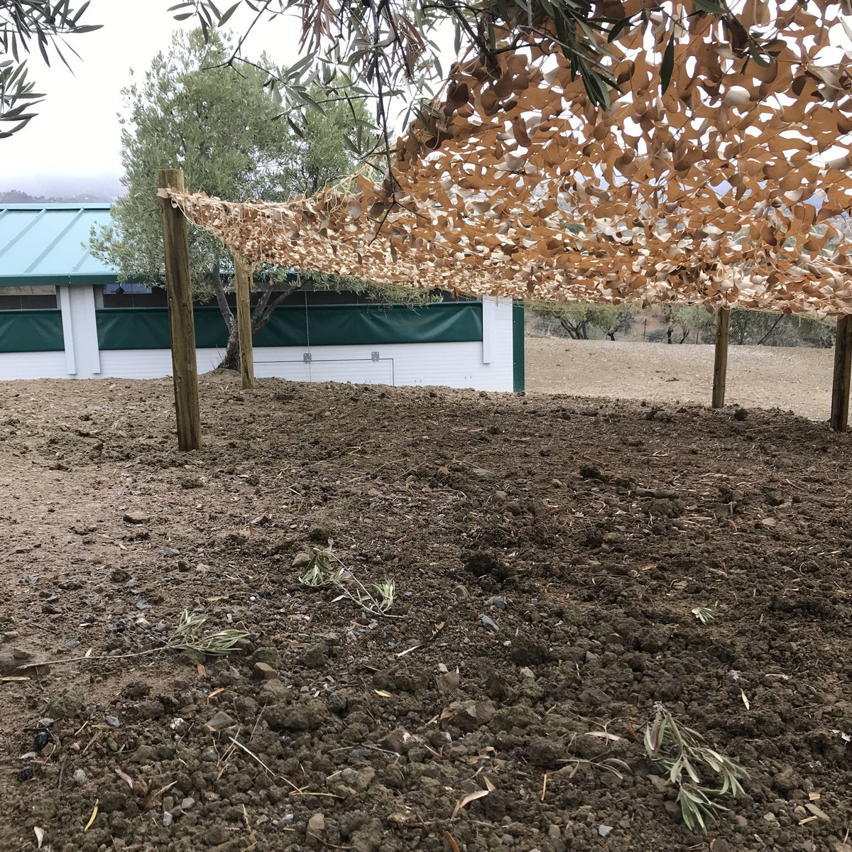 Finca Loma Verde, en la Sierra de Grazalema