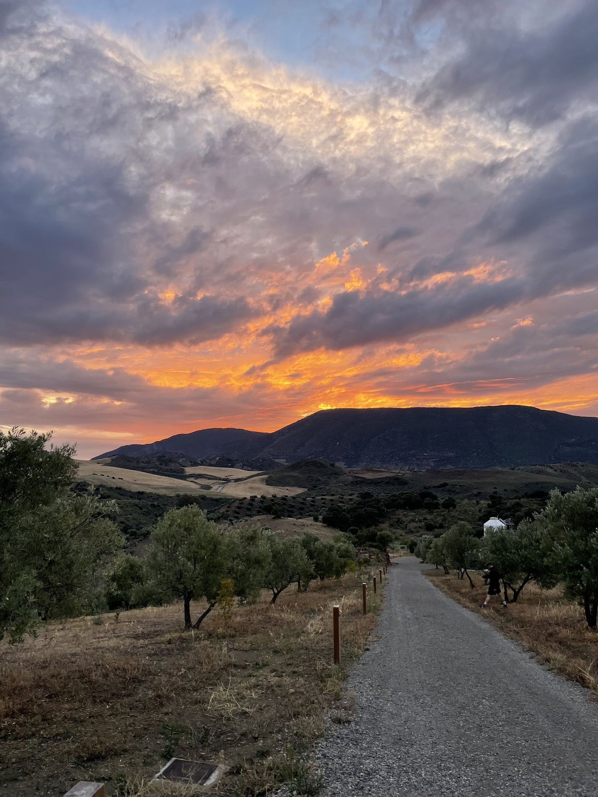 Finca Loma Verde, en la Sierra de Grazalema