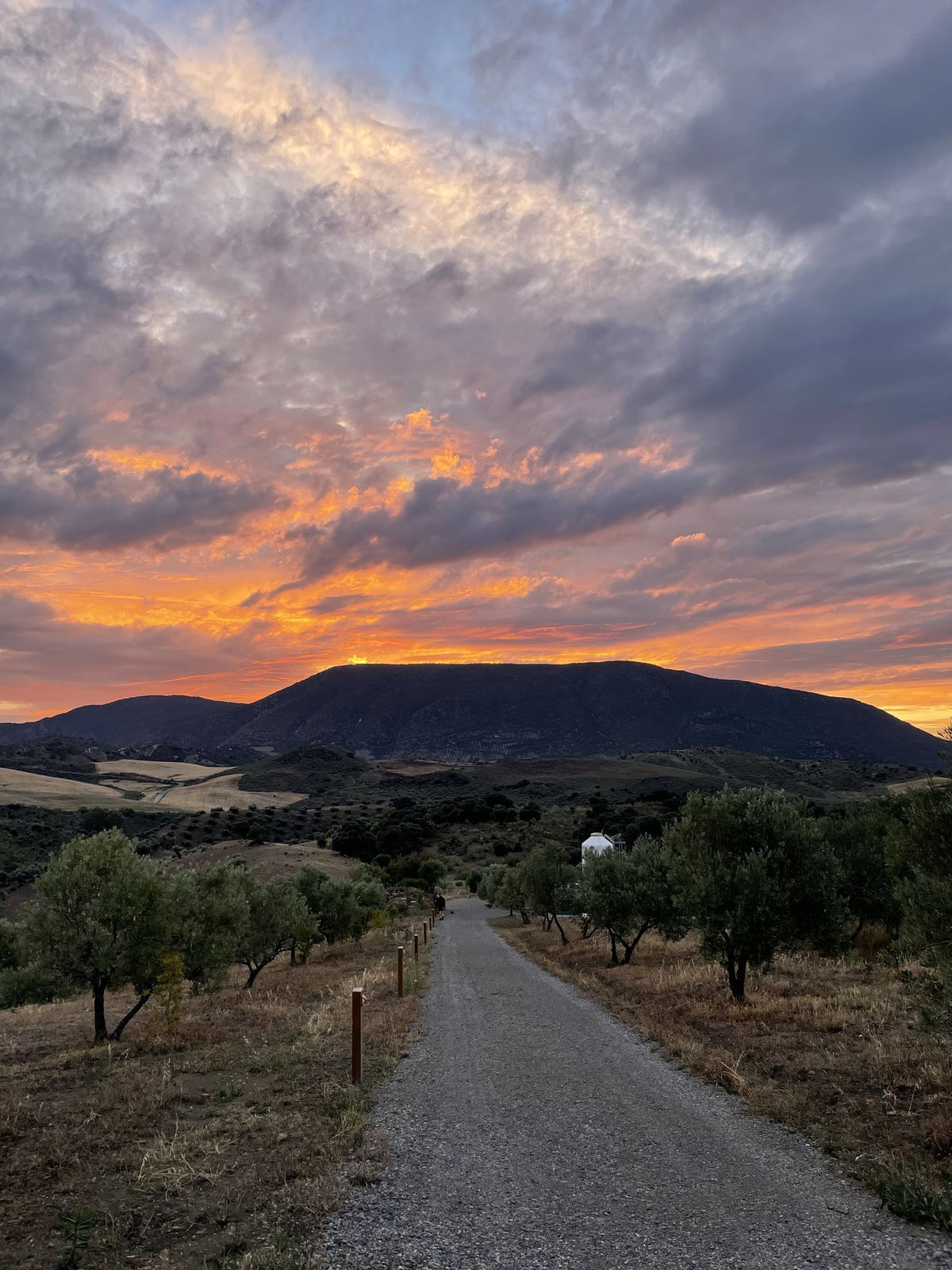 Finca Loma Verde, en la Sierra de Grazalema