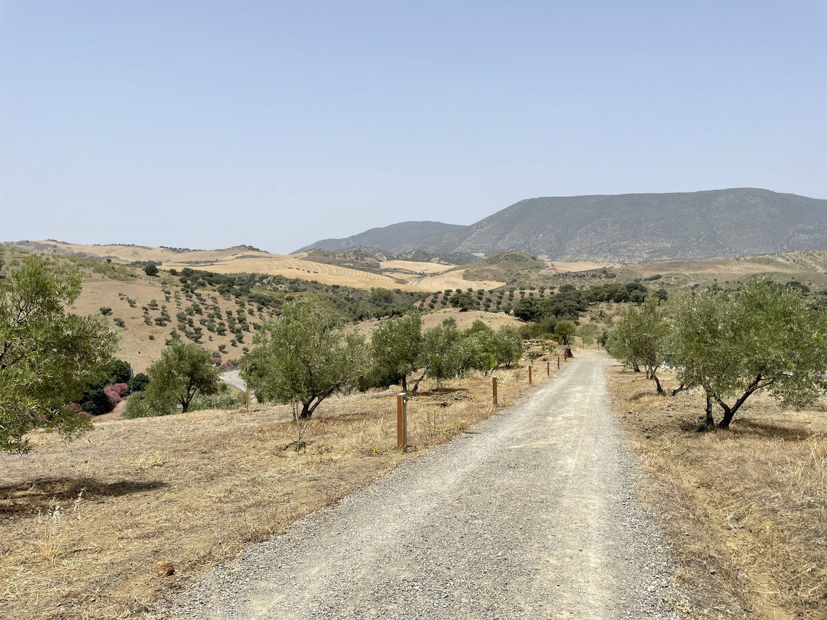 Finca Loma Verde, en la Sierra de Grazalema
