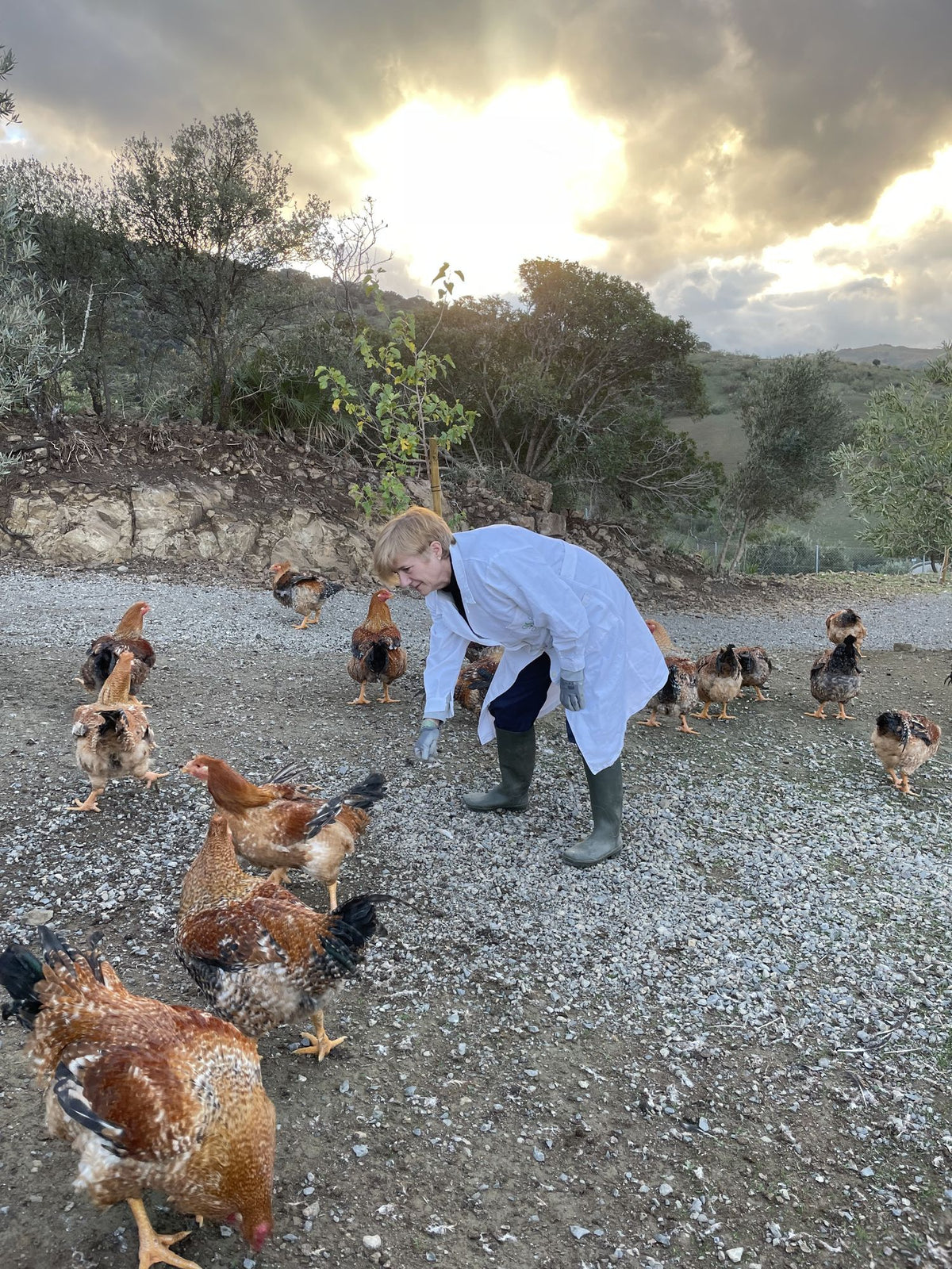 Finca Loma Verde, en la Sierra de Grazalema