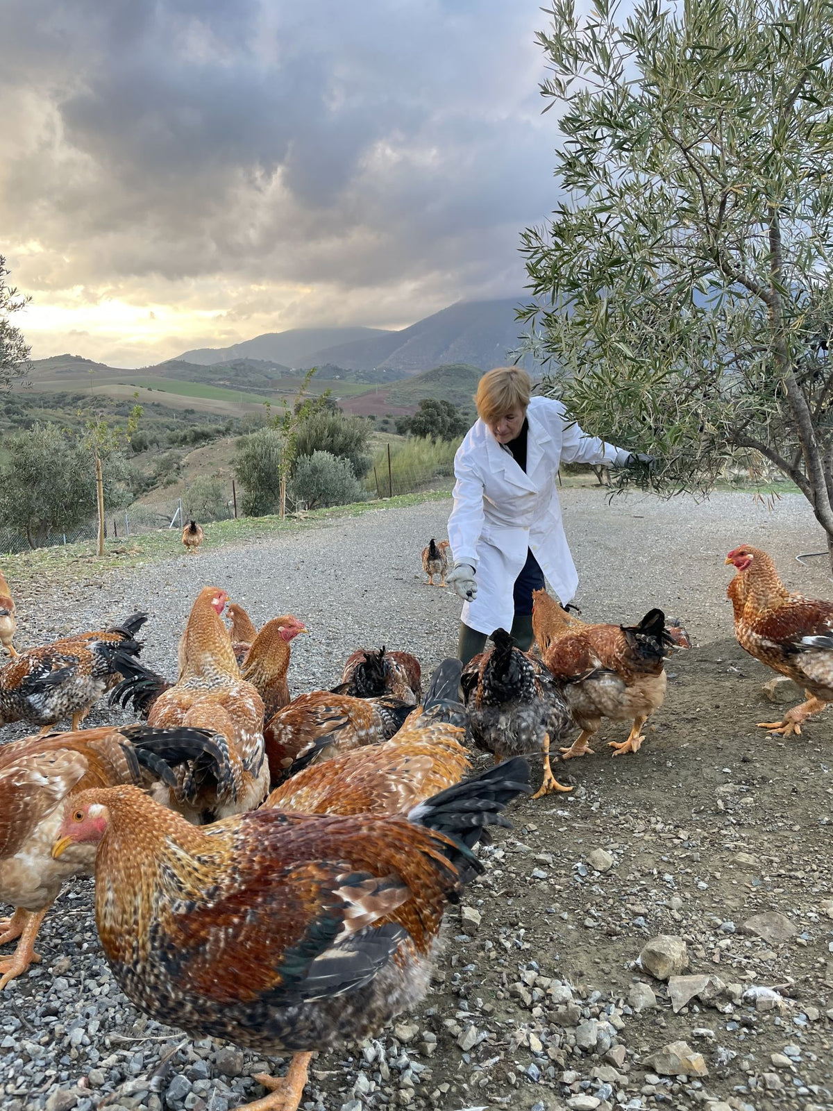 Finca Loma Verde, en la Sierra de Grazalema
