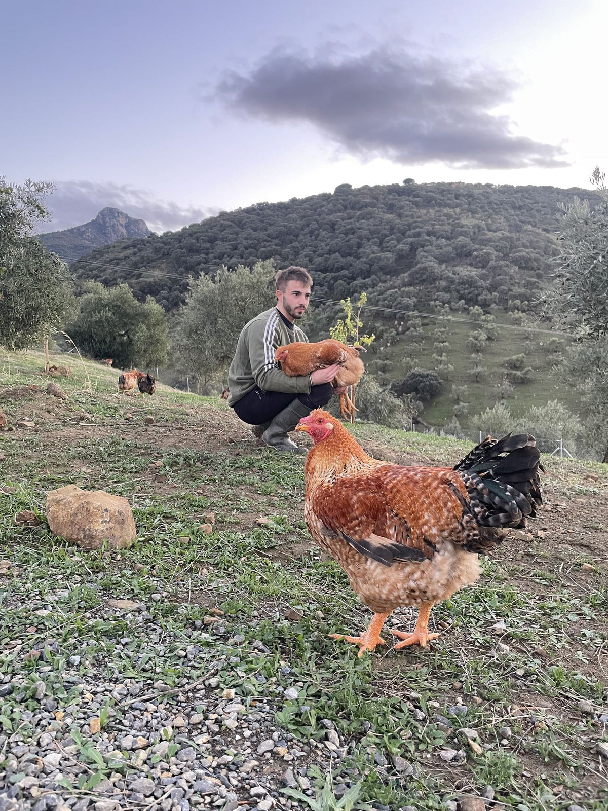 Finca Loma Verde, en la Sierra de Grazalema