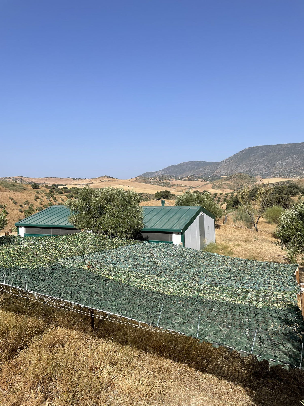 Finca Loma Verde, en la Sierra de Grazalema